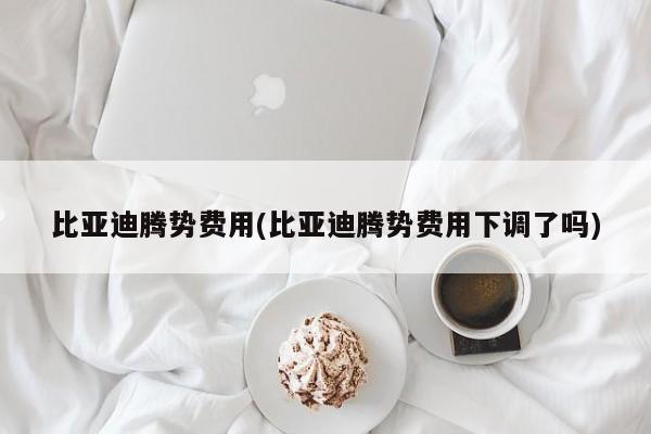 比亚迪腾势费用(比亚迪腾势费用下调了吗)