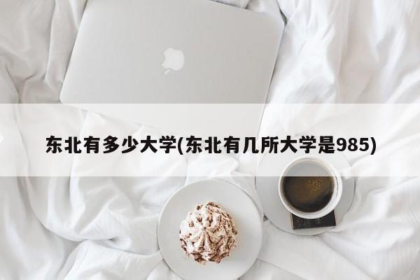 东北有多少大学(东北有几所大学是985)