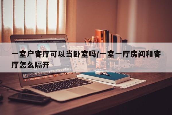 一室户客厅可以当卧室吗/一室一厅房间和客厅怎么隔开