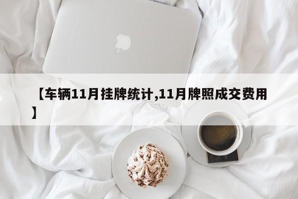 【车辆11月挂牌统计,11月牌照成交费用】