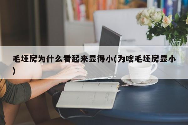 毛坯房为什么看起来显得小(为啥毛坯房显小)