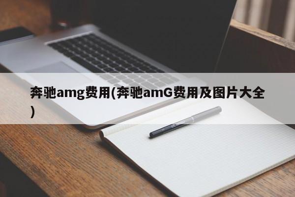 奔驰amg费用(奔驰amG费用及图片大全)