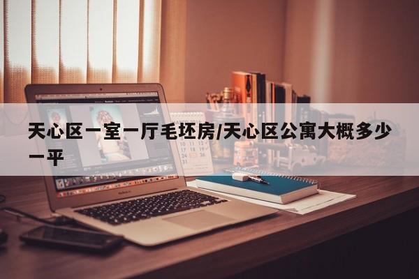 天心区一室一厅毛坯房/天心区公寓大概多少一平
