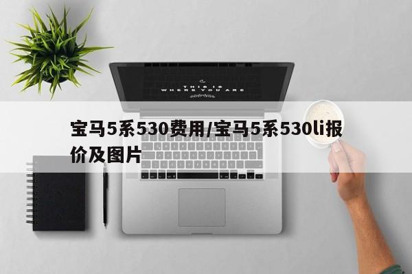 宝马5系530费用/宝马5系530li报价及图片