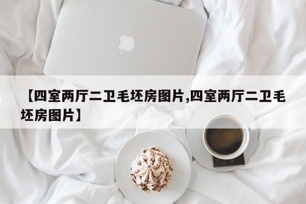 【四室两厅二卫毛坯房图片,四室两厅二卫毛坯房图片】