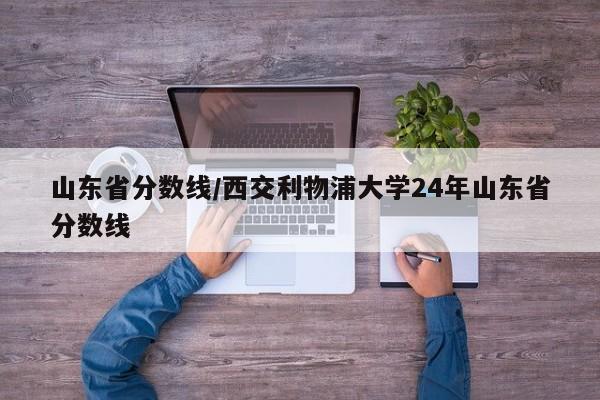 山东省分数线/西交利物浦大学24年山东省分数线