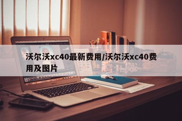 沃尔沃xc40最新费用/沃尔沃xc40费用及图片