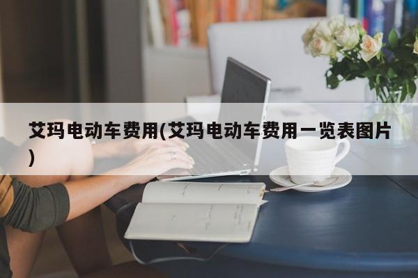 艾玛电动车费用(艾玛电动车费用一览表图片)