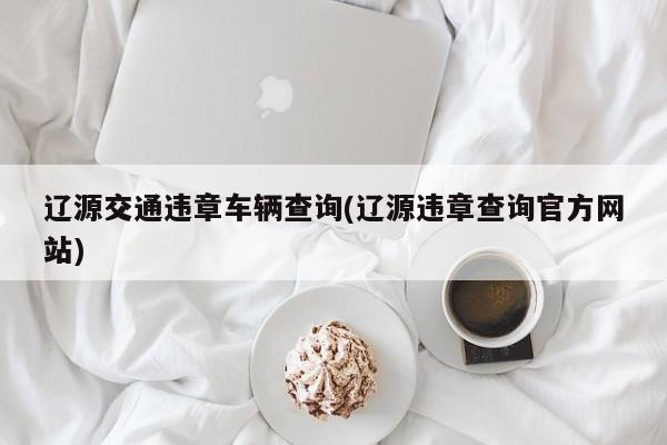 辽源交通违章车辆查询(辽源违章查询官方网站)