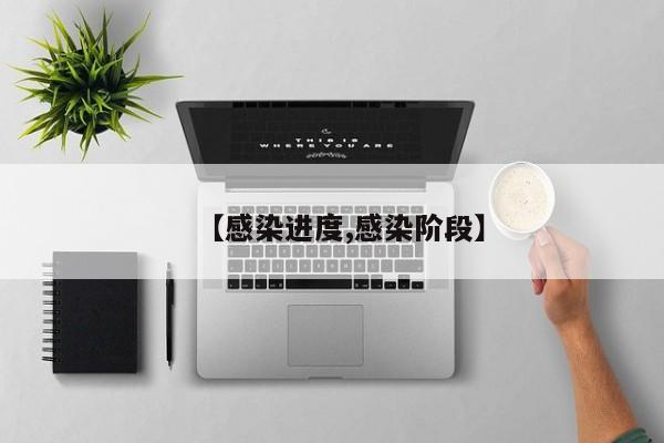 【感染进度,感染阶段】