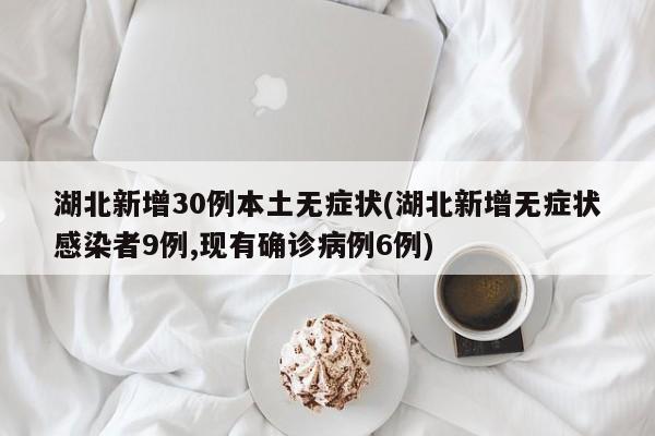 湖北新增30例本土无症状(湖北新增无症状感染者9例,现有确诊病例6例)