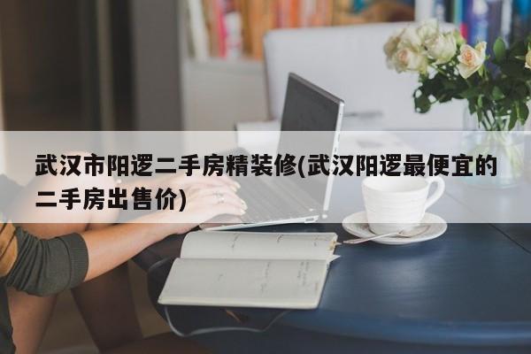 武汉市阳逻二手房精装修(武汉阳逻最便宜的二手房出售价)