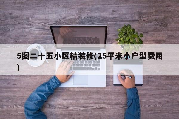 5图二十五小区精装修(25平米小户型费用)