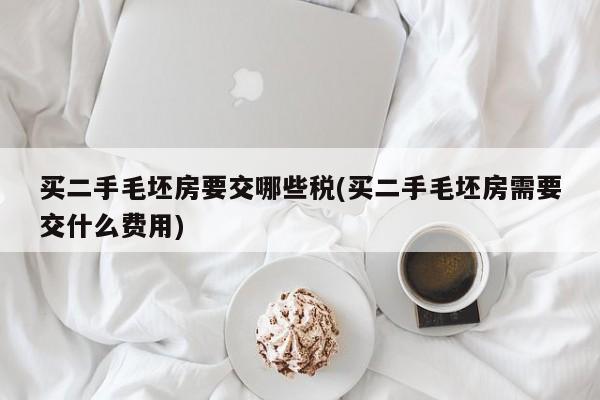 买二手毛坯房要交哪些税(买二手毛坯房需要交什么费用)