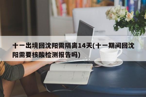 十一出境回沈阳需隔离14天(十一期间回沈阳需要核酸检测报告吗)