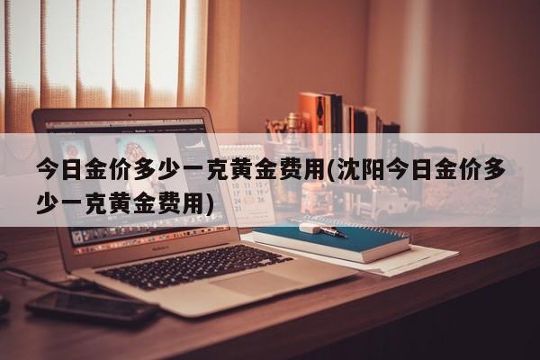 今日金价多少一克黄金费用(沈阳今日金价多少一克黄金费用)