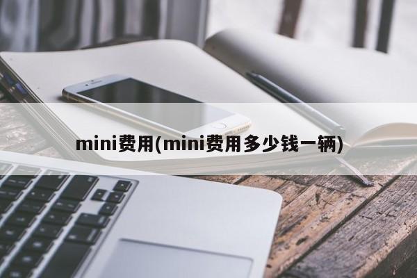 mini费用(mini费用多少钱一辆)