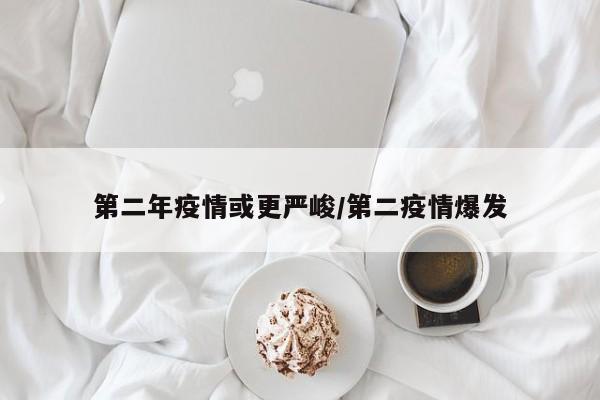 第二年疫情或更严峻/第二疫情爆发