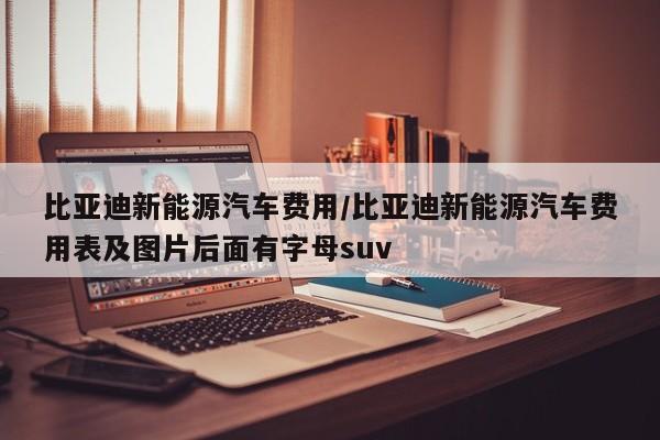 比亚迪新能源汽车费用/比亚迪新能源汽车费用表及图片后面有字母suv