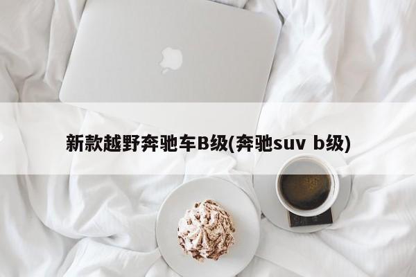 新款越野奔驰车B级(奔驰suv b级)