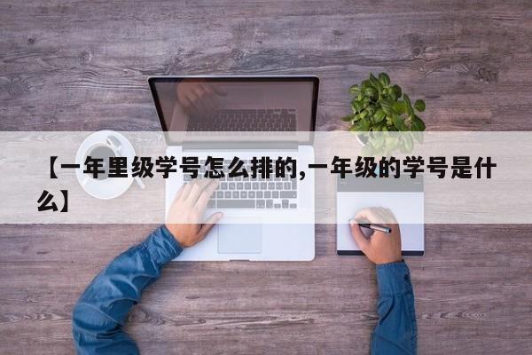 【一年里级学号怎么排的,一年级的学号是什么】