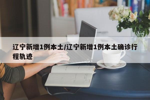 辽宁新增1例本土/辽宁新增1例本土确诊行程轨迹