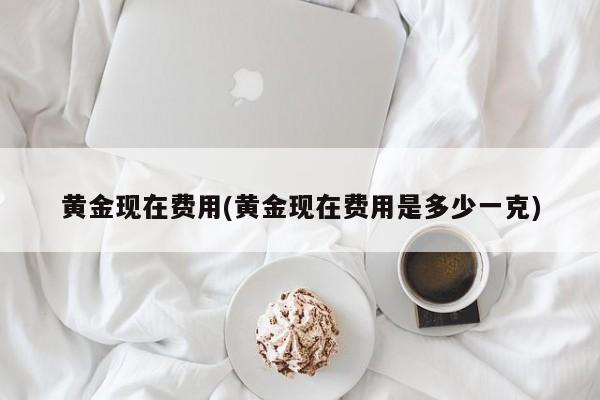 黄金现在费用(黄金现在费用是多少一克)