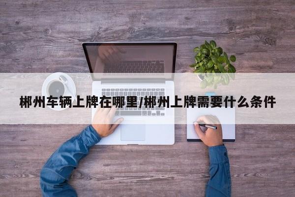 郴州车辆上牌在哪里/郴州上牌需要什么条件