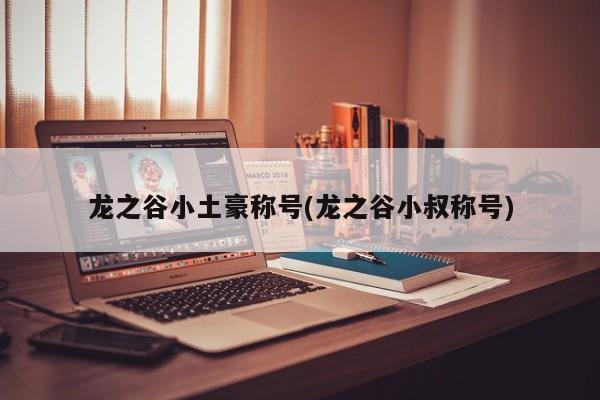 龙之谷小土豪称号(龙之谷小叔称号)
