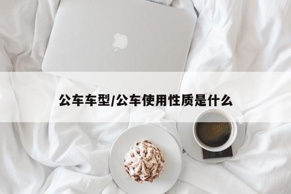 公车车型/公车使用性质是什么