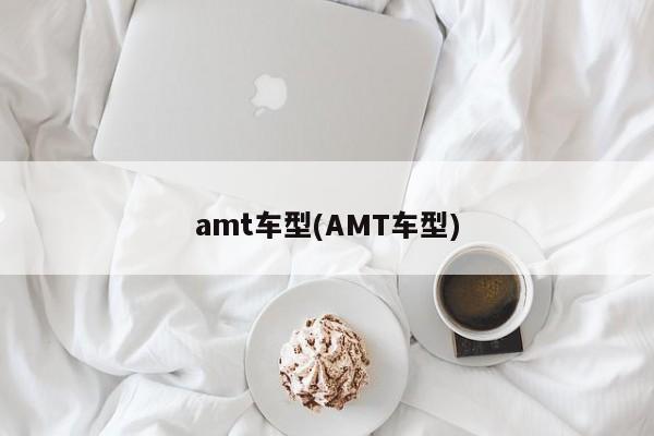 amt车型(AMT车型)
