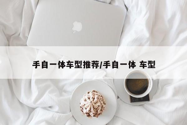 手自一体车型推荐/手自一体 车型
