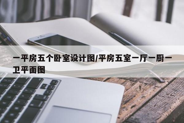 一平房五个卧室设计图/平房五室一厅一厨一卫平面图