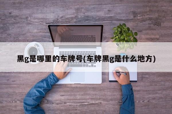 黑g是哪里的车牌号(车牌黑g是什么地方)