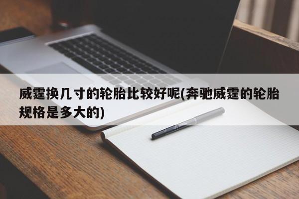 威霆换几寸的轮胎比较好呢(奔驰威霆的轮胎规格是多大的)