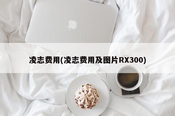 凌志费用(凌志费用及图片RX300)