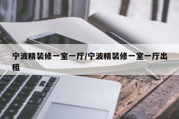 宁波精装修一室一厅/宁波精装修一室一厅出租