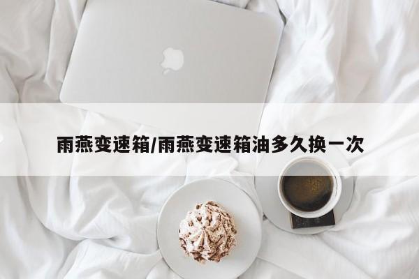 雨燕变速箱/雨燕变速箱油多久换一次